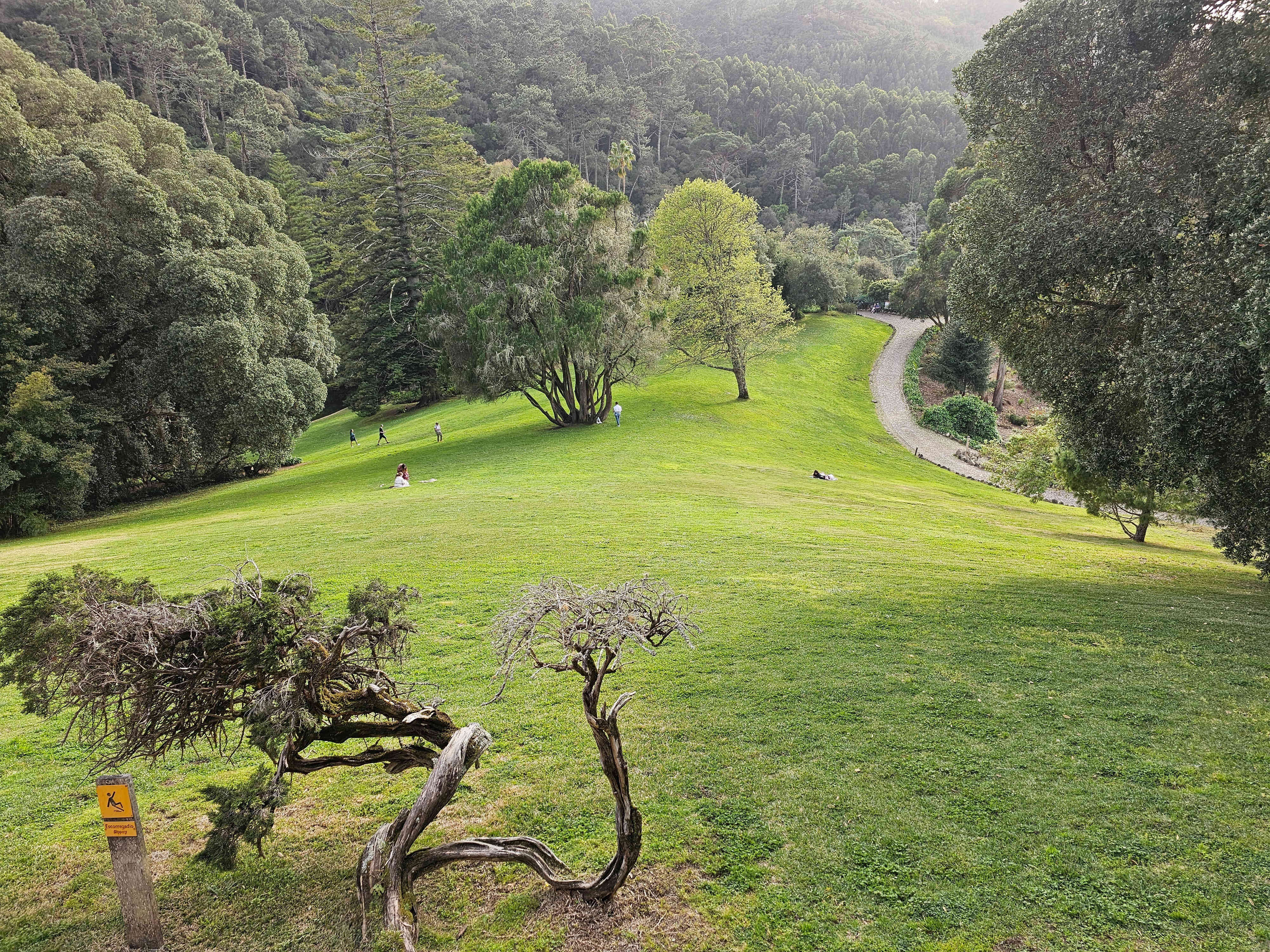 Sintra